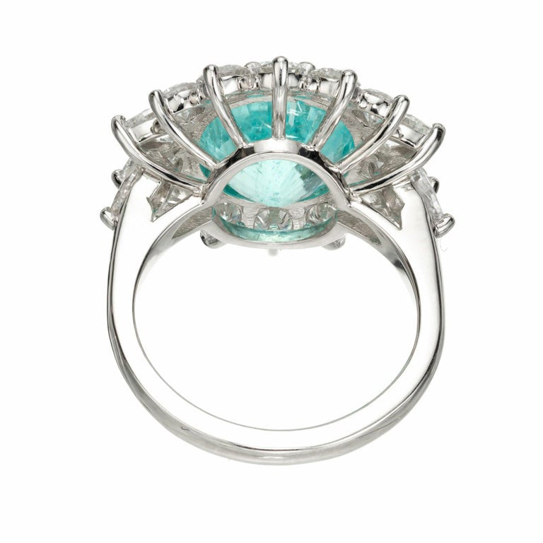 Peter Suchy GIA 5.98 Carat Paraiba Tourmaline Diamond Halo Platinum Ring – image 8