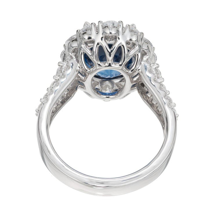Peter Suchy GIA Certified 6.66 Carat Sapphire Diamond Platinum Engagement Ring – image 6